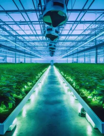 Sztuczna inteligencja w uprawie konopi