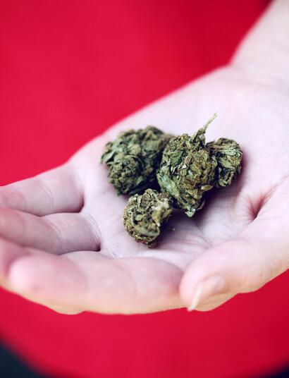 Švýcarsko spouští zkušební prodej marihuany