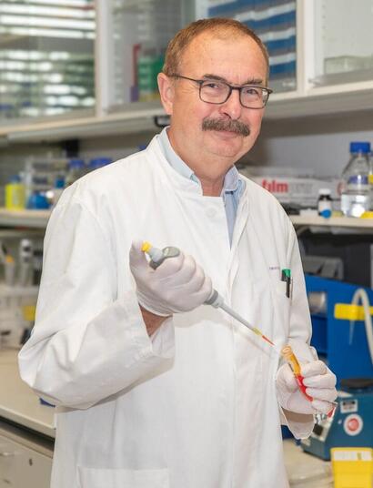 scientists demonstrated THC could slow down brain aging in mice