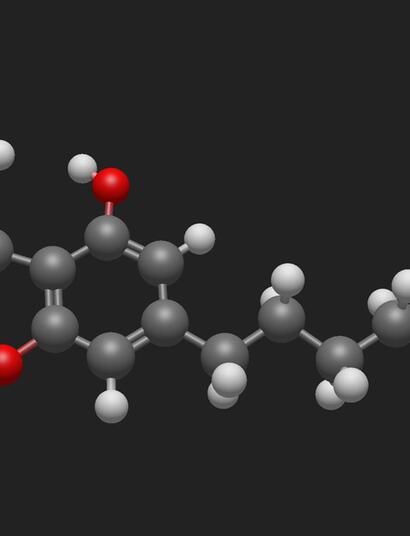 Tetrahydrocannabiphorol (THCP)