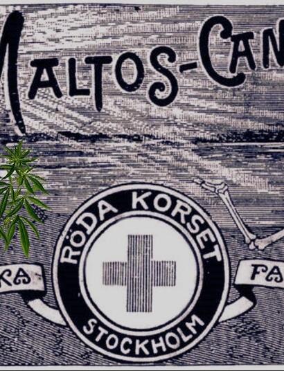 Pod koniec XIX wieku trafia do Ameryki tajemnicze szwedzkie lekarstwo.