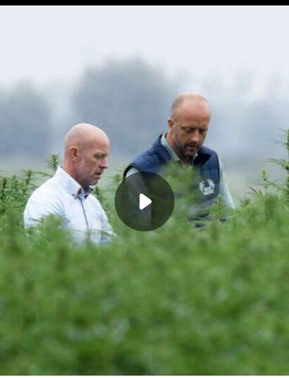 vezelhennep Tegenlicht