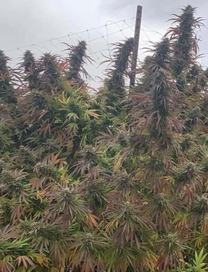 Le terroir, un héritage culturel commun