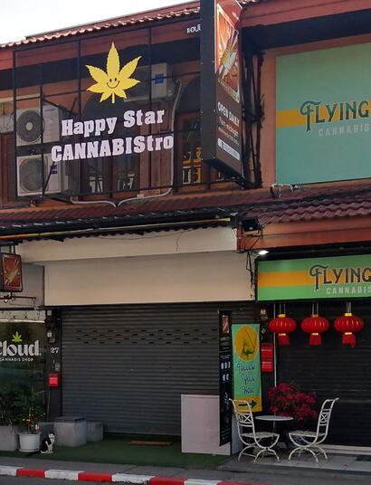Thaïlande : le gouvernement approuve le nouveau projet de loi sur le cannabis