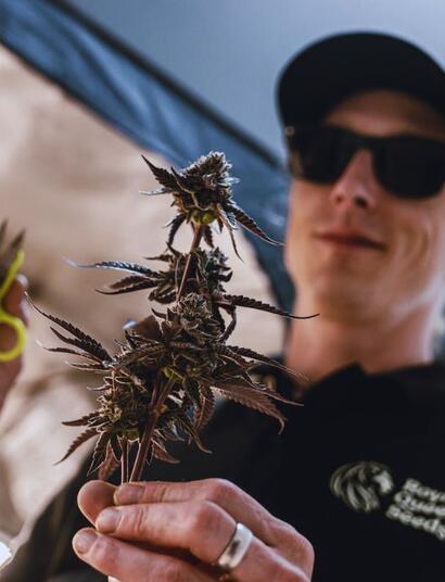 The Perfect Grow 2, EP. 3