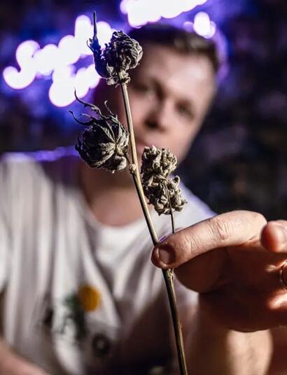 The Perfect Grow 2, EP. 8