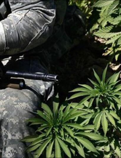 Marijuana for vets now possible with new amendment