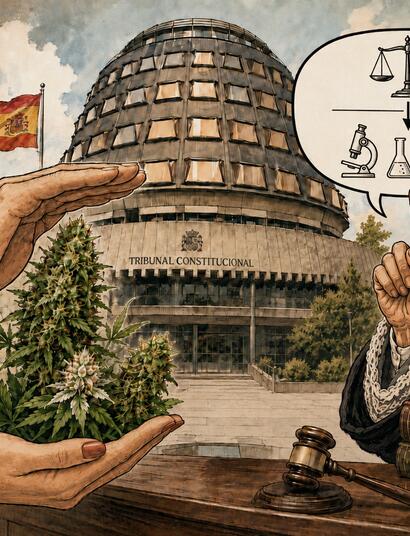 La industria del CBD recurrirá al Constitucional