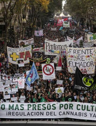 Chile erlaubt Cannabispatienten den Eigenanbau