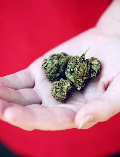 UK Grown Weed Available to Medicinal Users for First Time