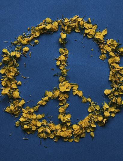 Ukraine legalisiert medizinisches Cannabis 