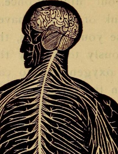 Układ odpornościowy i medyczna marihuana