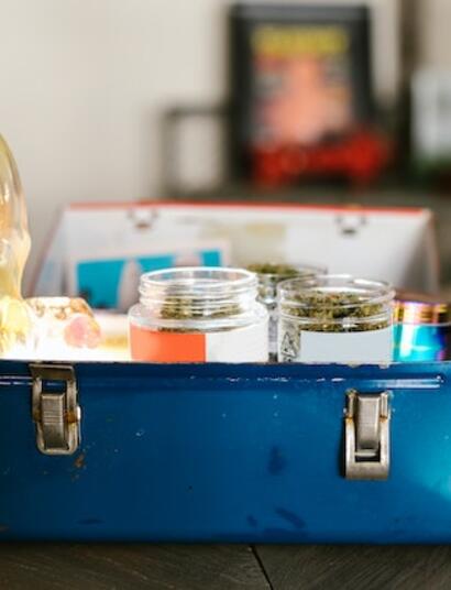 Update on German Cannabis Reform