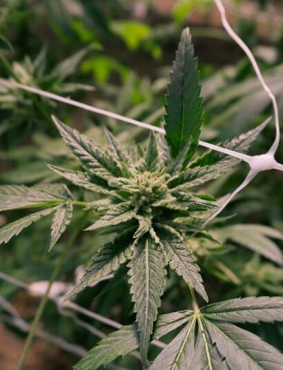 Jak radzić sobie zimą?