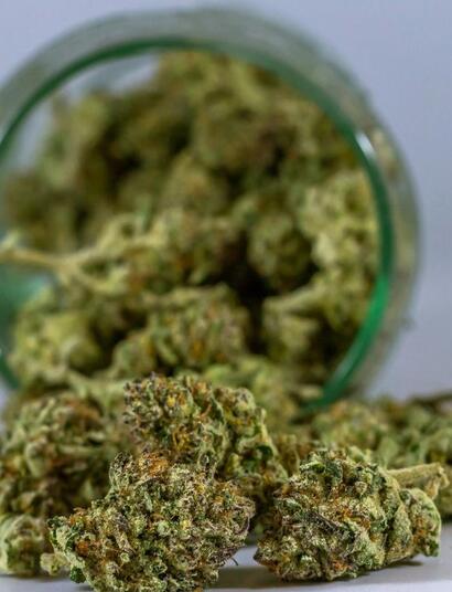 Legalna marihuana w niemieckich domach.