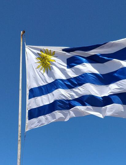 Uruguay 4 roky po legalizaci: polovina odbytu na legálním trhu
