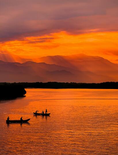 Variedades tradicionales del mundo: Colombia