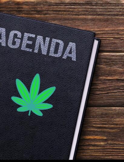 Volles Programm - Eure Cannabis-Termine 2025