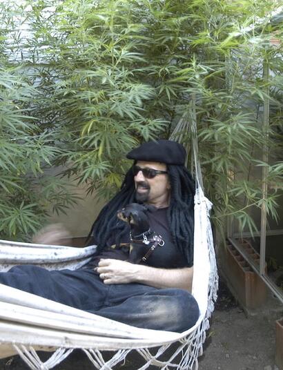 We grow cannabis: guía gratis de cultivo cannábico de Jorge Cervantes.