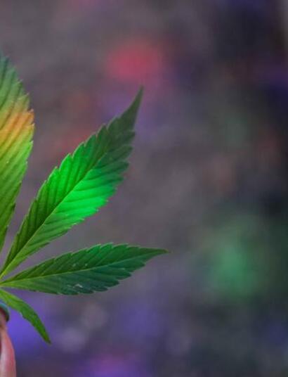 Cannabis vaporisieren! Tipps für Praktiker
