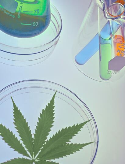 With rapid growth in the market, confusion persists about what these substances really are and their potential risks
