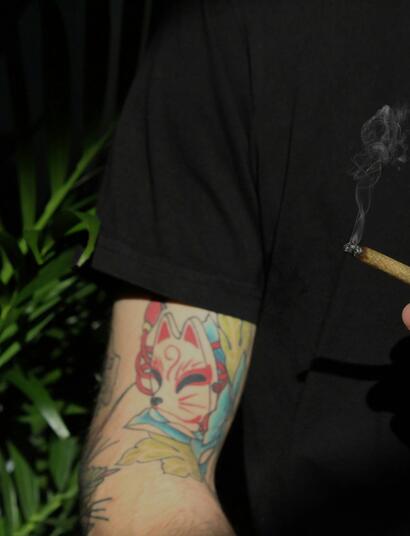  The three most significant active ingredients in cannabis that contribute to this effect are major cannabinoids, minor cannabinoids, and terpenes