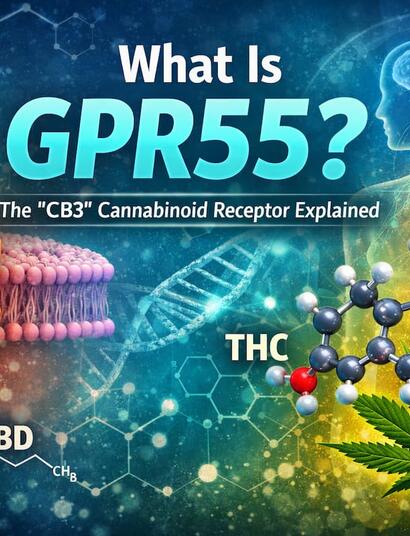 discoveries have revealed additional receptors, including GPR55, that contribute to the diverse effects of cannabis