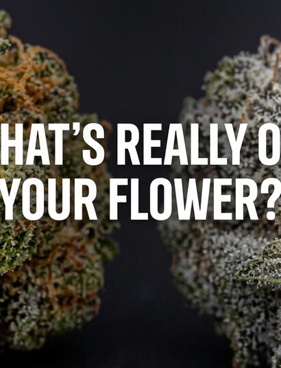 What's really on your cannabis flower