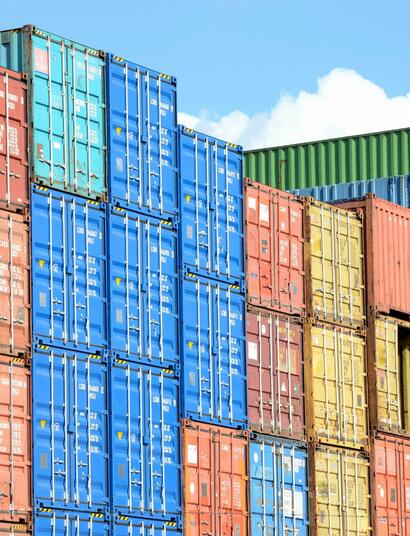 Which Countries Lead Cannabis Exports?
