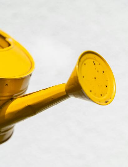 Flushing cleanses the plants of harmful chemicals that they may still be holding