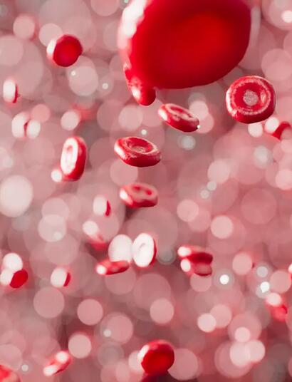 Wie man den Abbau von Cannabis aus dem Körper beschleunigen kann, und welche  Methoden ins Reich der Mythen gehören.