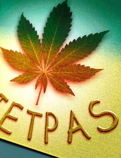 Wietpas