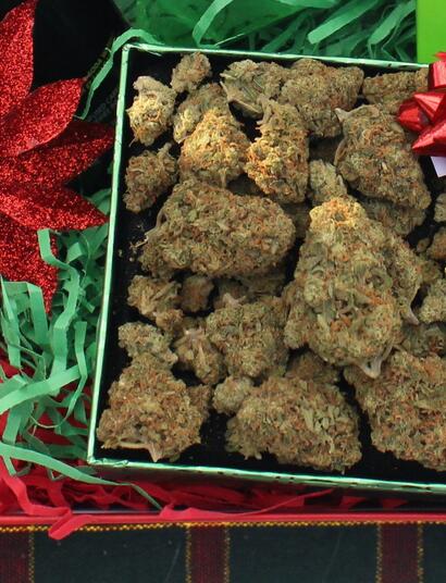 Winterliche Aktivitäten für Stoner