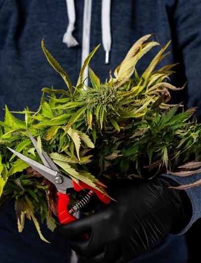 Większe zbiory cz.2