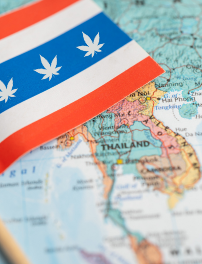 Thailand legalisiert Cannabis… teilweise