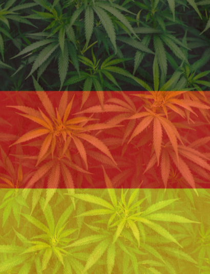 Legalisierung in Deutschland Teil II