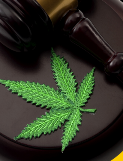 Legalisierung in Deutschland Teil IV