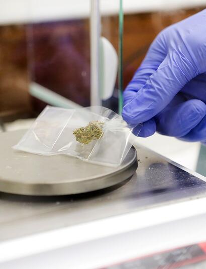 Foto Maria Novella De Luca