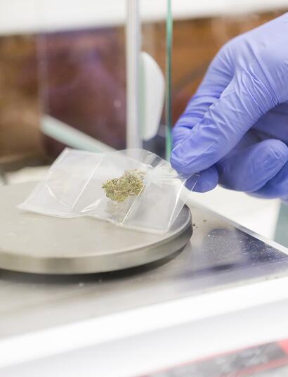 Philip Morris punta silenziosamente alla cannabis medica