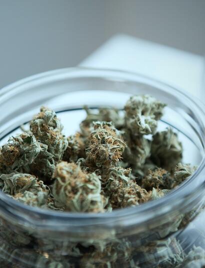 Grazie a Unsplash per la foto. Cime di marijuana