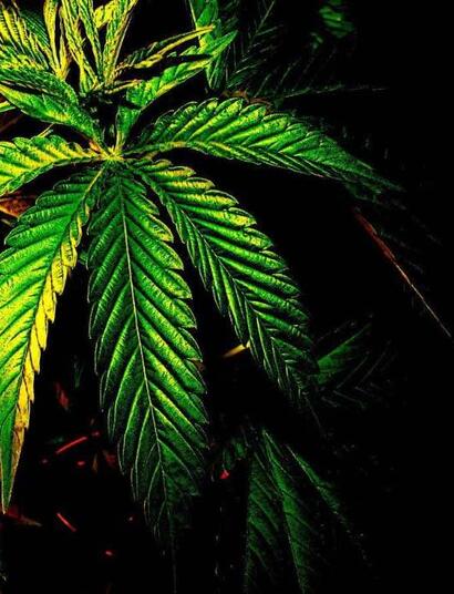 Mantén el aire del indoor limpio: consejos.