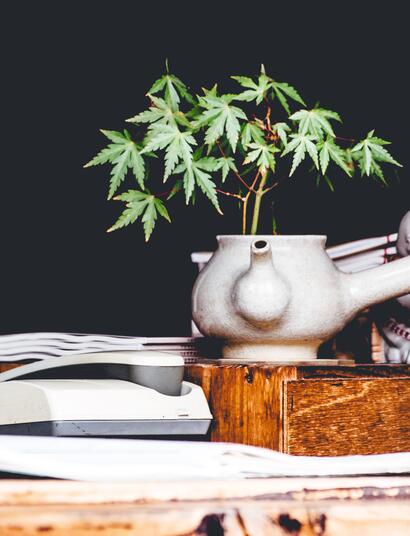 Grazie a Alexandre Chambon per la foto