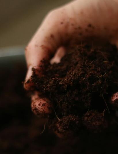 Tierra-y-análisis-de-suelos