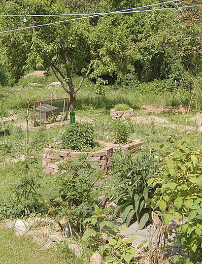 All together: consociazione della piante e permacultura