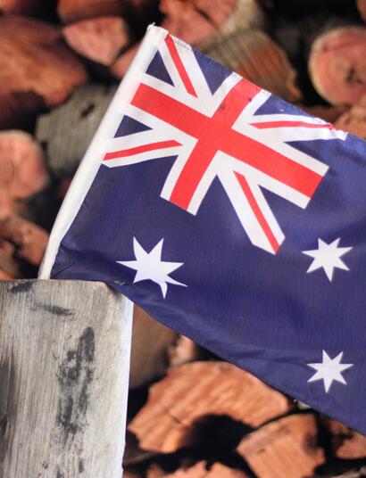 Keine Veränderungen der Hirn-Leistung nach Cannabiskonsum