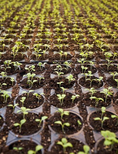 Grazie a Andrej Lisakov per la foto