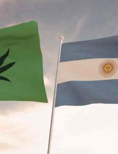 Argentina reglamenta cáñamo industrial y medicinal.