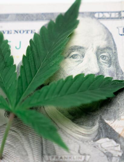 arizona cannabis market success.