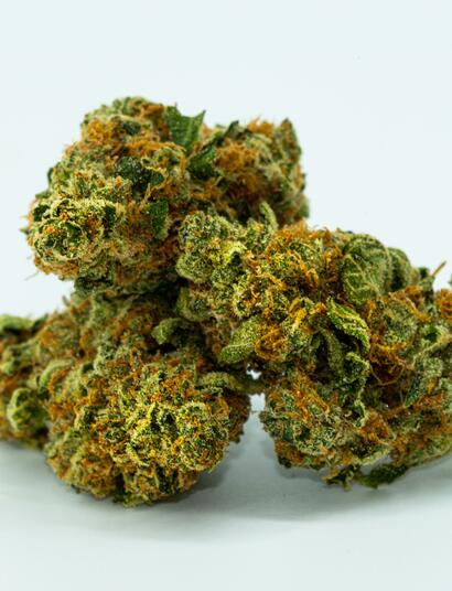 Urban Garden 2.0 – AK47/Orange Bud Crossbreed.