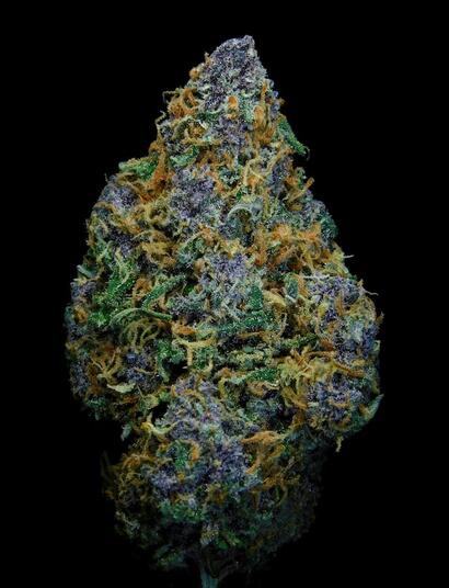 Stock image of compact, dense cannabis bud with blue-purple hues resembling the Blueberry cannabis strain, positioned against a dark background.  